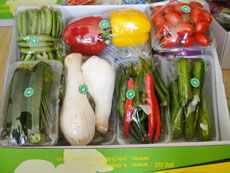 正谷生态春节有机蔬菜海鲜礼品卡礼盒销售处